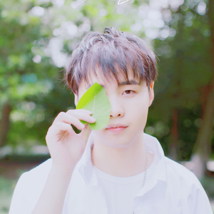 久草视频手机在线
